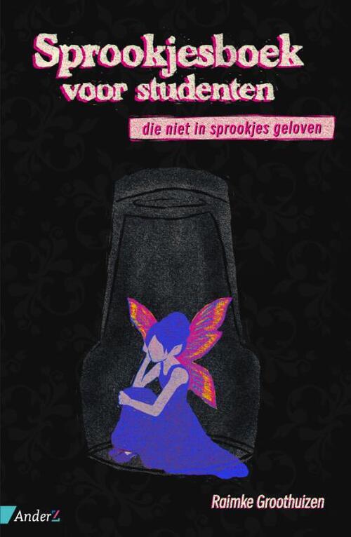 Raimke Groothuizen Sprookjesboek voor studenten -   (ISBN: 9789462962279)