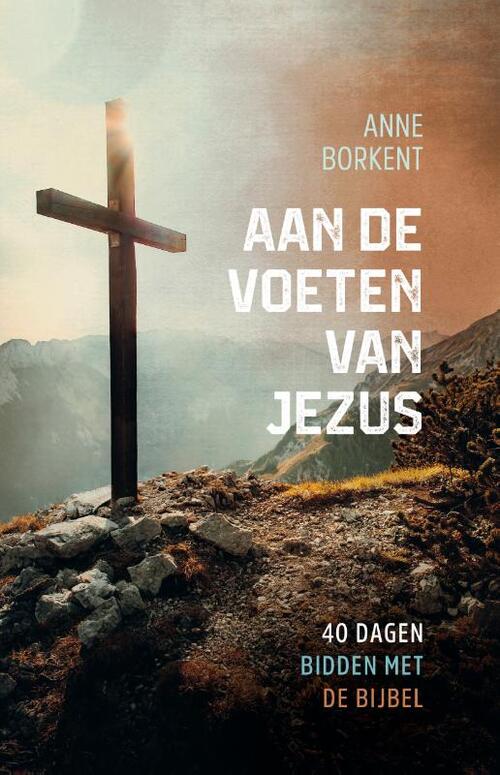 Anne Borkent Aan de voeten van Jezus -   (ISBN: 9789059990531)