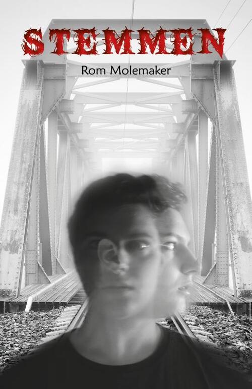 Rom Molemaker Stemmen -   (ISBN: 9789493275881)