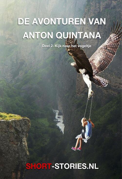 Anton Quintana Kijk naar het vogeltje -   (ISBN: 9789464934267)