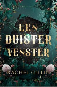 Rachel Gillig Een duister venster -   (ISBN: 9789464822205)