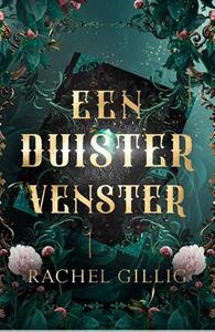 Rachel Gillig Een duister venster -   (ISBN: 9789464822199)