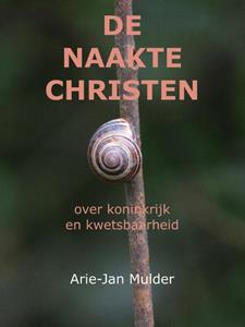 Arie-Jan Mulder De naakte christen -   (ISBN: 9789081547482)