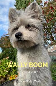 Hans van der Meer Wally Boom -   (ISBN: 9789465120942)