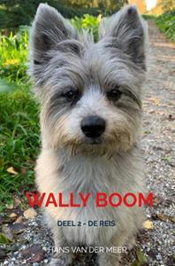 Hans van der Meer Wally Boom -   (ISBN: 9789465120997)