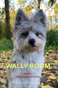 Hans van der Meer Wally Boom -   (ISBN: 9789465121017)