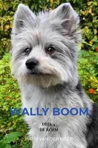 Hans van der Meer Wally Boom -   (ISBN: 9789465121031)