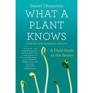 Van Ditmar Boeken B.V. What A Plant Knows - Chamovitz, Daniel