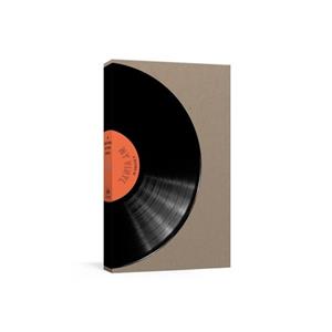 Van Ditmar Boeken B.V. A Record Of My Vinyl - Potter Gift