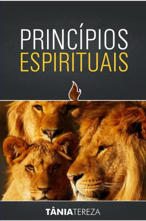 Tânia Tereza Medeiros de Carvalho Princípios Espirituais -   (ISBN: 9789403744902)