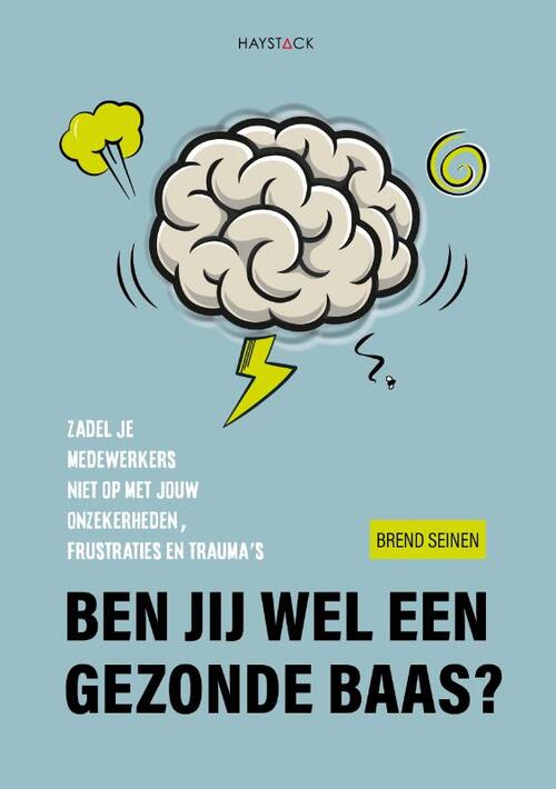 Brend Seinen Ben jij wel een gezonde baas? -   (ISBN: 9789461266408)