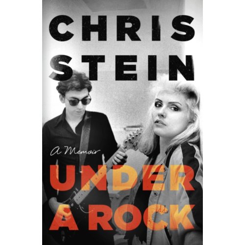 Van Ditmar Boeken B.V. Under A Rock - Chris Stein