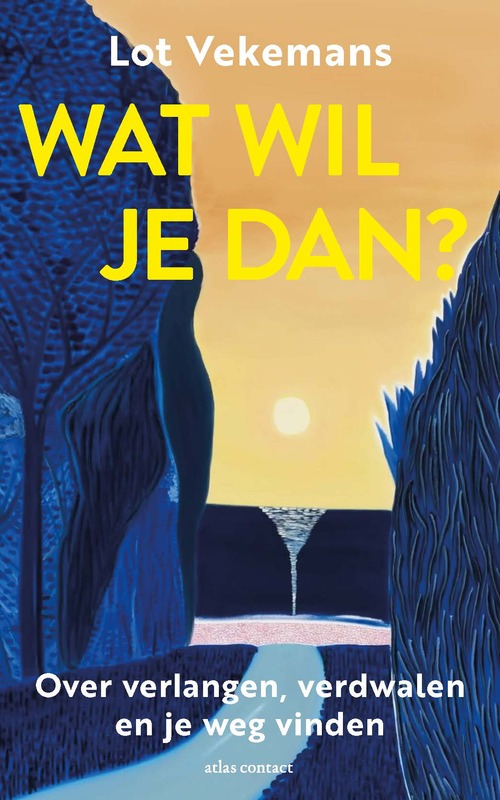 Lot Vekemans Wat wil je dan? -   (ISBN: 9789045049427)