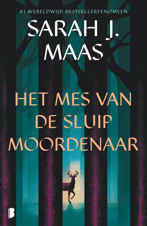 Sarah J. Maas Het mes van de sluipmoordenaar -   (ISBN: 9789049206345)