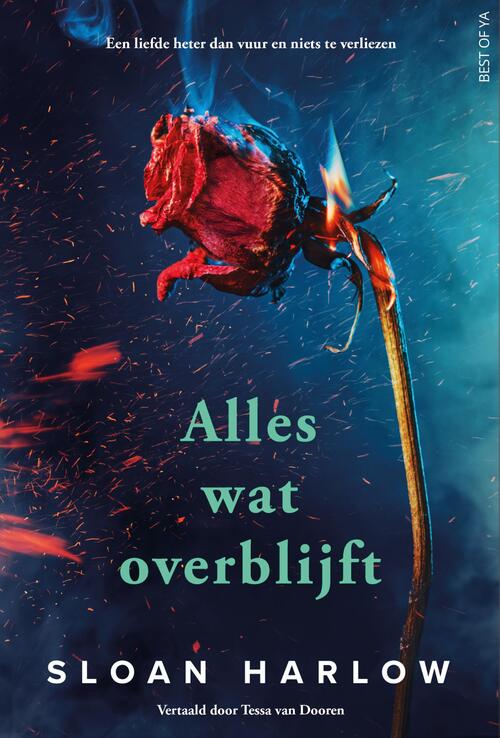 Sloan Harlow Alles wat overblijft -   (ISBN: 9789000398829)