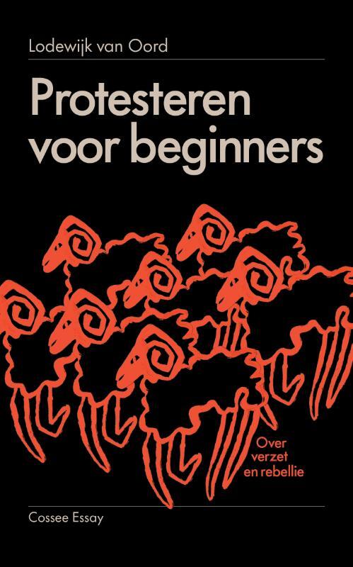 Lodewijk van Oord Protesteren voor beginners -   (ISBN: 9789464522006)