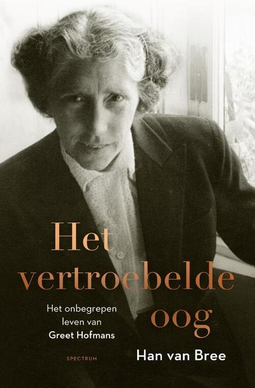 Han van Bree Het vertroebelde oog -   (ISBN: 9789000354511)