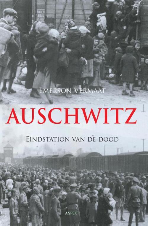 Emerson Vermaat Auschwitz -   (ISBN: 9789461532718)