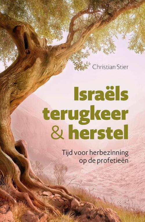 Christian Stier Israëls terugkeer en herstel -   (ISBN: 9789059992955)