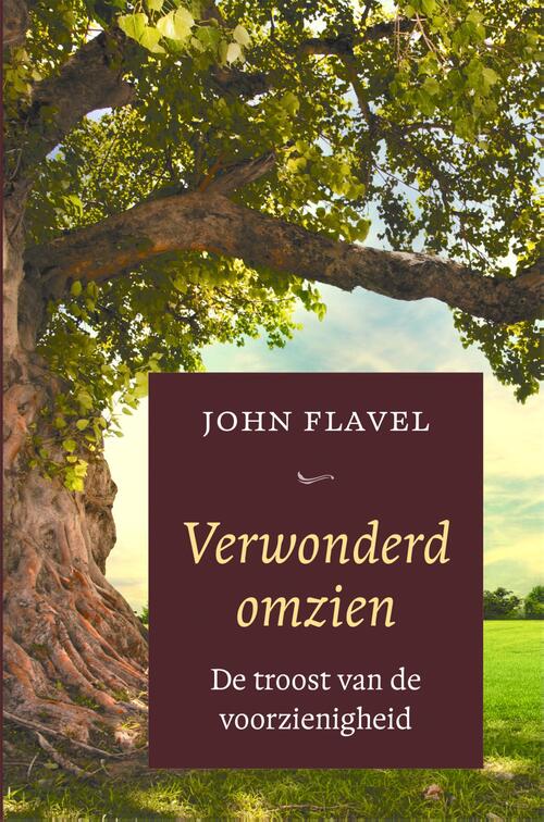 John Flavel Verwonderd omzien -   (ISBN: 9789402913484)