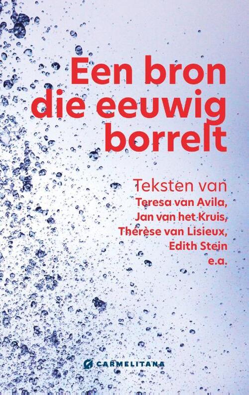 Geert Schiettecatte Een bron die eeuwig borrelt -   (ISBN: 9789492434432)