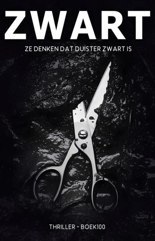 Ronald van Assen Zwart -   (ISBN: 9789464642865)