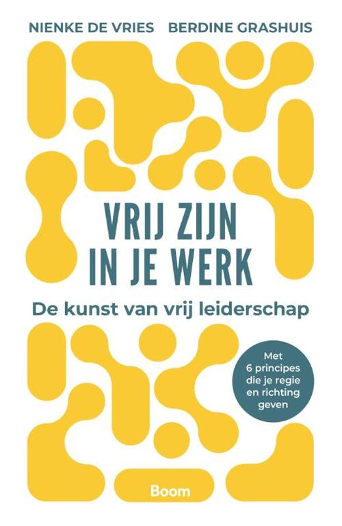 Berdine Grashuis, Nienke de Vries Vrij zijn in je werk -   (ISBN: 9789024469055)