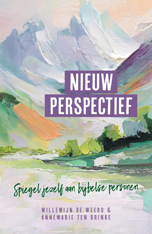 Annemarie ten Brinke, Willemijn de Weerd Nieuw perspectief -   (ISBN: 9789464251487)