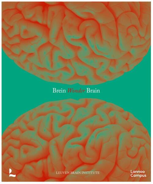 Ann van der Jeugd, Mathieu Vandenbulcke Breinwonder / Wonder Brain -   (ISBN: 9789020958508)
