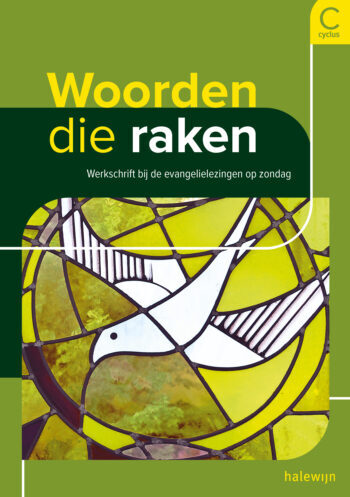 Vicariaat Vlaams-Brabant-Mechelen Woorden die raken C-jaar -   (ISBN: 9789085286295)