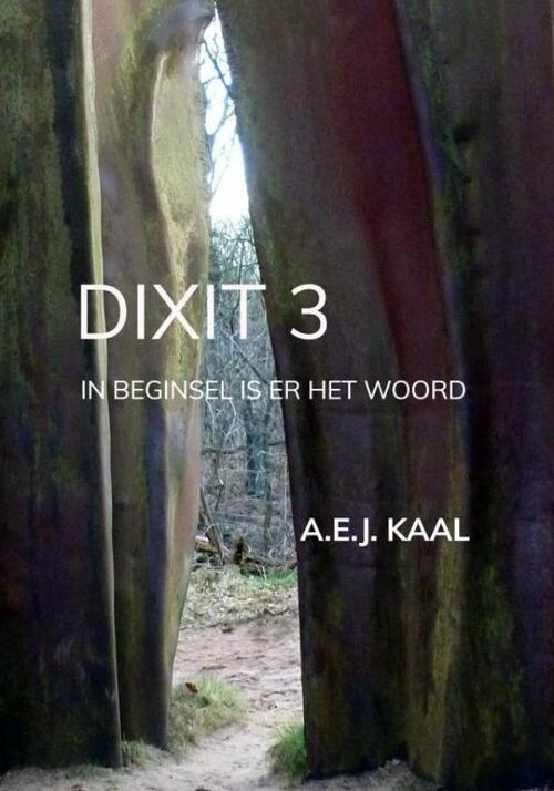 A.E.J. Kaal Dixit 3 -   (ISBN: 9789465201092)