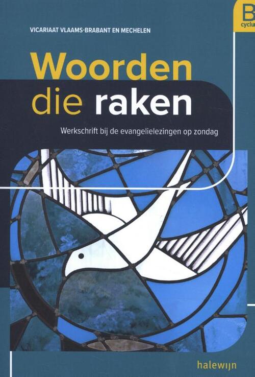 Vicariaat Vlaams Brabant Mechelen Woorden die raken -   (ISBN: 9789085285939)