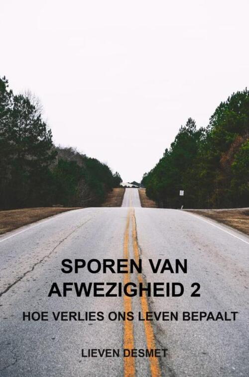 Lieven Desmet Sporen van afwezigheid 2 -   (ISBN: 9789465312736)