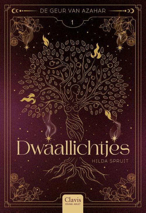 Hilda Spruit Dwaallichtjes -   (ISBN: 9789044857801)