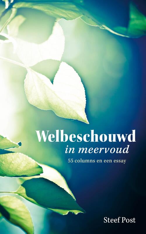 Steef Post Welbeschouwd in meervoud -   (ISBN: 9789402914450)