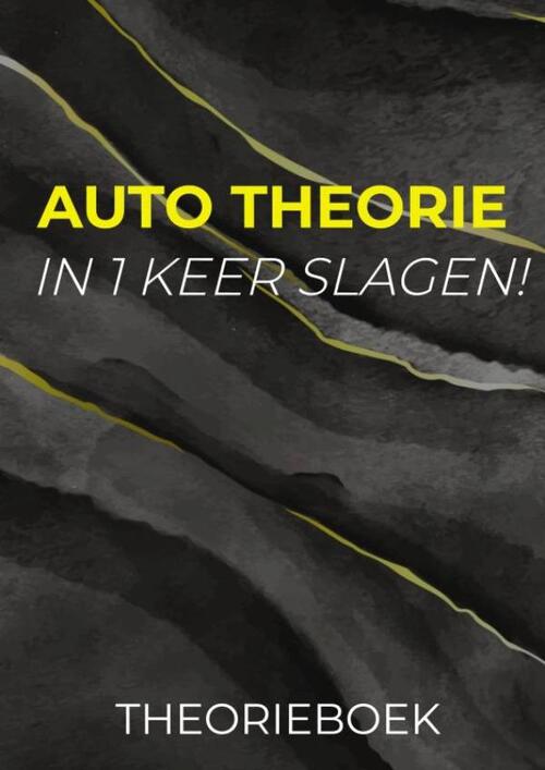 Drive Wise Acadamy Auto theorie: In 1 Keer Slagen -   (ISBN: 9789465314020)