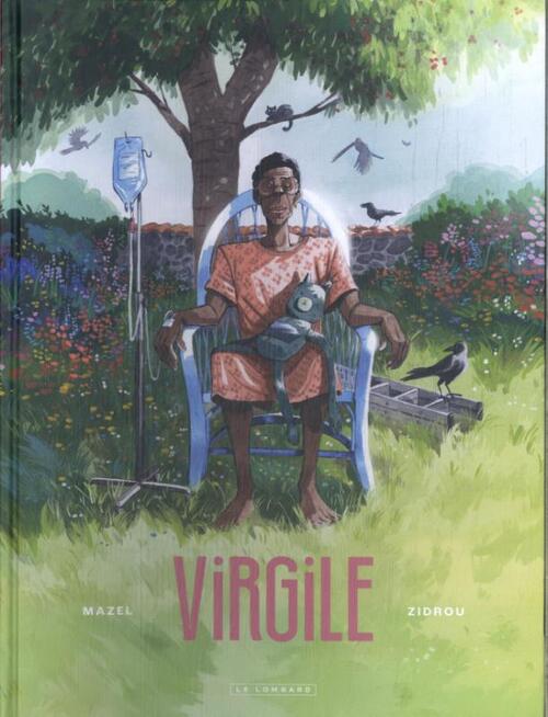 Zidrou Virgile -   (ISBN: 9789086772094)