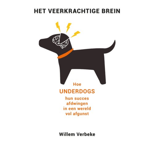 Wardy Poelstra Projectmanagement Het Veerkrachtige Brein - Willem Verbeke