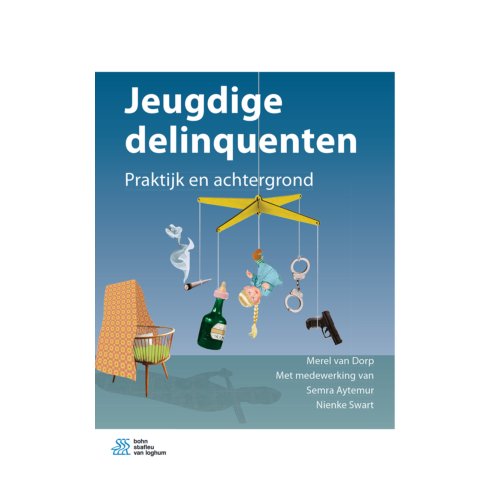 Bsl Media & Learning Jeugdige Delinquenten - Merel van Dorp