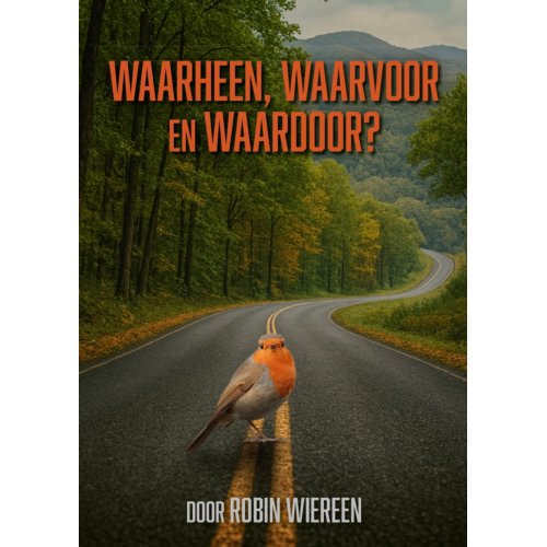 Pumbo.Nl B.V. Waarheen, Waardoor En Waarvoor℃ - Robin Wiereen