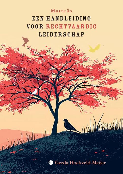 Gerda Hoekveld-Meijer Matteüs -   (ISBN: 9789465284989)