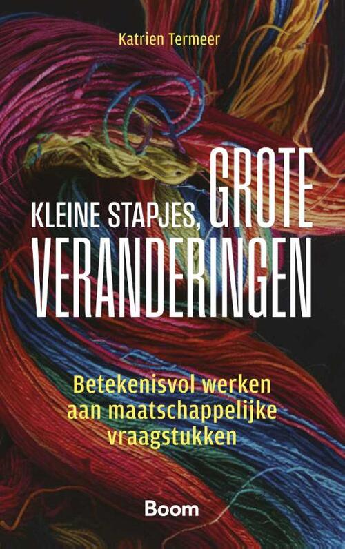 Katrien Termeer Kleine stapjes, grote veranderingen -   (ISBN: 9789047302711)