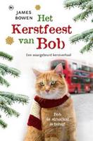 Het Kerstfeest van Bob