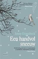 Een handvol sneeuw