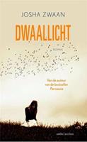   Dwaallicht