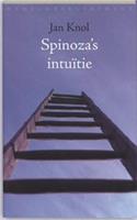 Spinoza's intuitie
