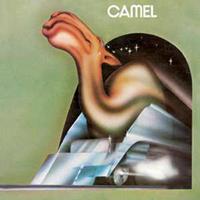 Camel: Camel