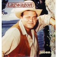 Lagwagon Hoss (Reissue)