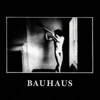 Bauhaus: In The Flat Field