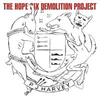 Universal Music The Hope Six Demolition Project